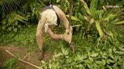 viceland GIF by JUNGLETOWN