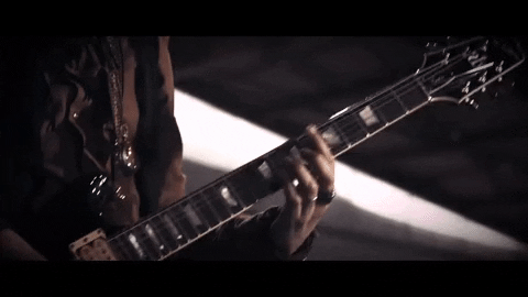 nereisofficial giphyupload music live pex GIF