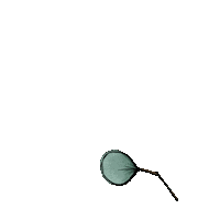 Plant Sticker