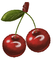 Cherry Tree Peach Sticker