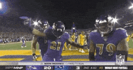 Regular Season Football GIF by NFL