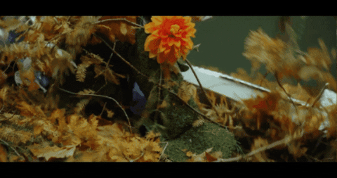 Art Metal GIF by Century Media Records
