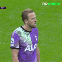 Premier League Hug GIF by Play Sports