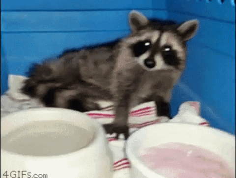 anonymousbitesback laughing candy ice cream stoned GIF