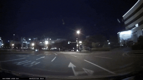 yj_jane giphyupload GIF