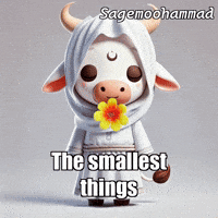 Flower Peace GIF by Sagemoohammad