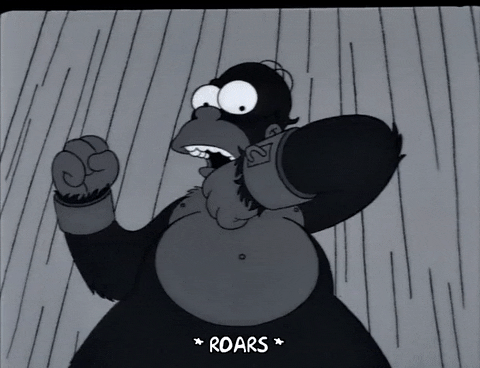homer simpson GIF