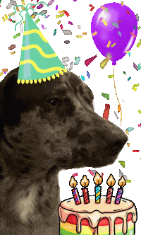 Happy Birthday Smile Sticker by Bespattered Facade