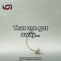 Flower Sadness GIF by Goeememe