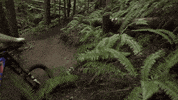 builder GIF by EchoBoom Sports