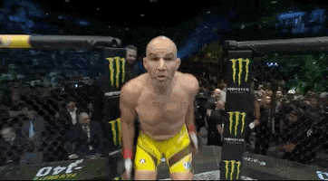 Glover Teixeira Sport GIF by UFC
