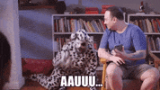 Diogo Defante Ed Gama GIF by Porta Dos Fundos