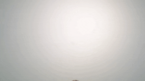 ommhdm giphyupload yes good like GIF