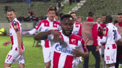 Red Star Football GIF by FK Crvena zvezda