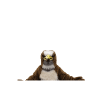 Falcon Ccc Sticker by Cedar Crest College