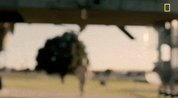 nat geo army GIF by National Geographic Channel