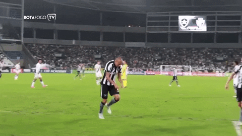 botafogo futebol e regatas GIF by Botafogo