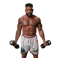Shaun T Fitness Sticker by BODi