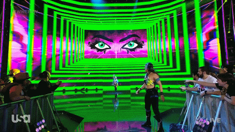 Wwe Wrestling GIF by USA Network