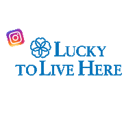 new york instagram Sticker by Lucky To Live Here