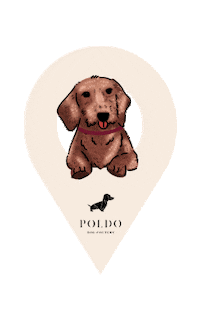 Travel Holiday Sticker by POLDO DOG COUTURE