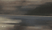 Motorsport GIF by FIA World Rally Championship