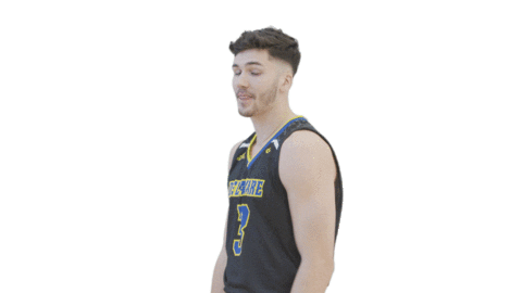 Fun Brush Off Sticker by Delaware Blue Hens