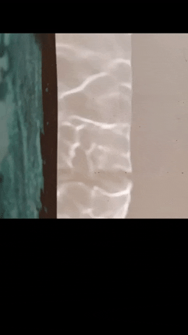 Simongip giphygifmaker GIF