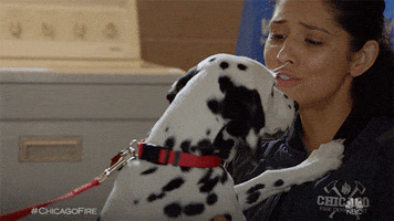 Season 7 Love GIF by One Chicago