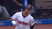 Sport Baseball GIF by MLB