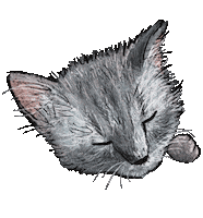 Cat Sticker