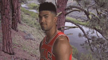 Proud Robert Redford GIF by Chicago Bulls