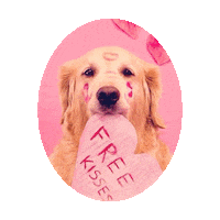 dog valentine STICKER by imoji