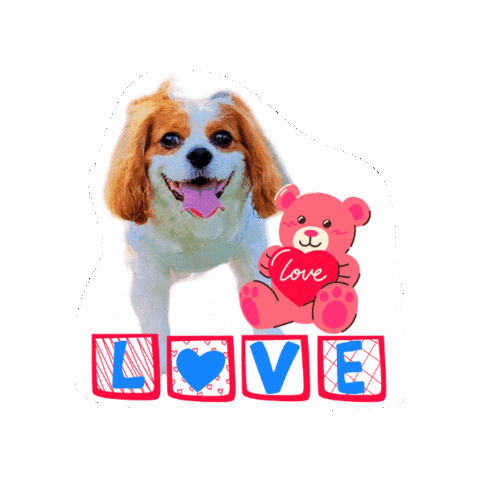 Cavalierkingcharlesspaniel Sticker