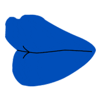 bear hands blue lips Sticker by Bear Hands