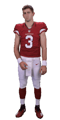 Arizona Cardinals Sticker Sticker by NFL