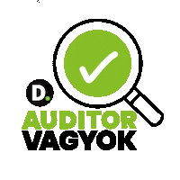 Auditorvagyok Sticker by DeloitteHungary
