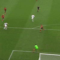 1 Fc Cologne Football GIF by 1. FC Köln