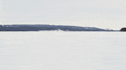 snow winter GIF by Red Bull