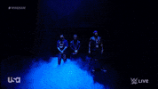 Wwe Wrestling GIF by USA Network