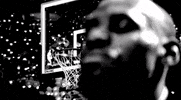 lebron james GIF