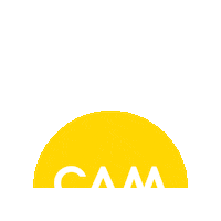 CAMraleigh  Sticker