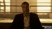 ray donovan GIF by Showtime