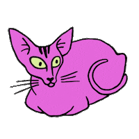 Pink Cat Sticker