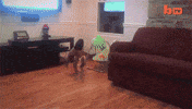 amanda peet page GIF