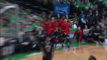 happy chicago bulls GIF by NBA