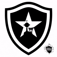 Futebol Libertadores GIF