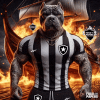 Serie B Vasco GIF