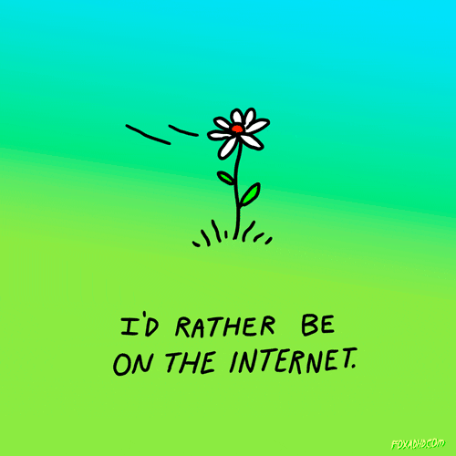 Flower Lol GIF by Animation Domination High-Def