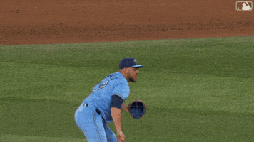 Lets Go Celebration GIF by Toronto Blue Jays